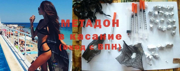 прущие грибы Волоколамск