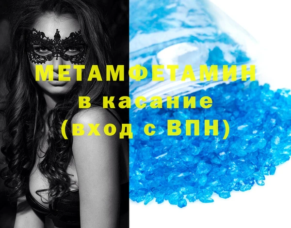 прущие грибы Волоколамск