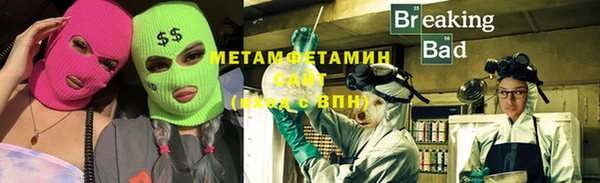 прущие грибы Волоколамск