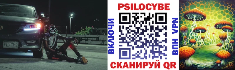 Псилоцибиновые грибы Cubensis Лысково
